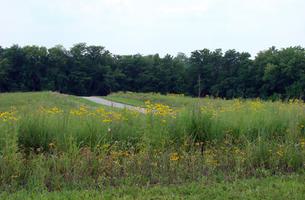 Prairie Creek Greenway