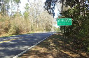 Miccosukee Canopy Road Greenway