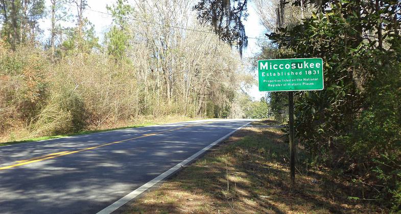 Historic Miccosukee. Greenway runs adjacent to the historical trail. Photo by Michael Rivera.