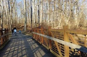 Rock Creek Trail