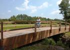 Dismal Swamp Trail Bridge.