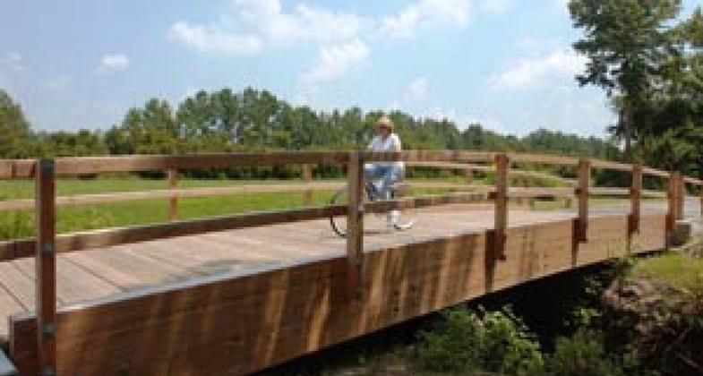Dismal Swamp Trail Bridge.