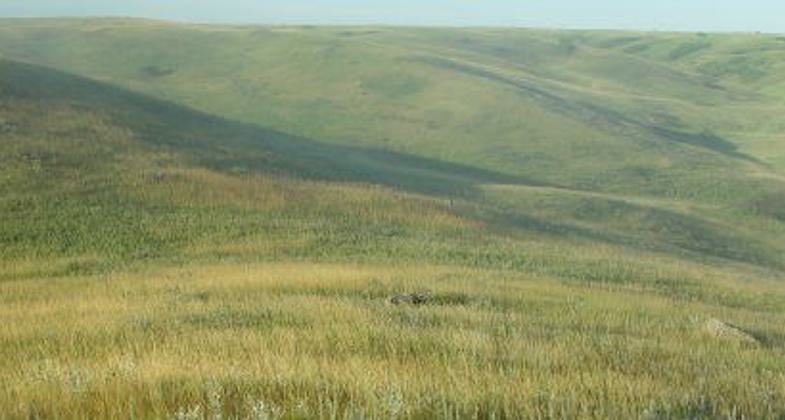 Grassland hills and prairie. Photo by USFWS.