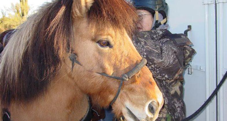 Volunteer saddles up a horse for packing tools, coolers, and people 4 miles to trail project site. Photo by Rich Hanson.