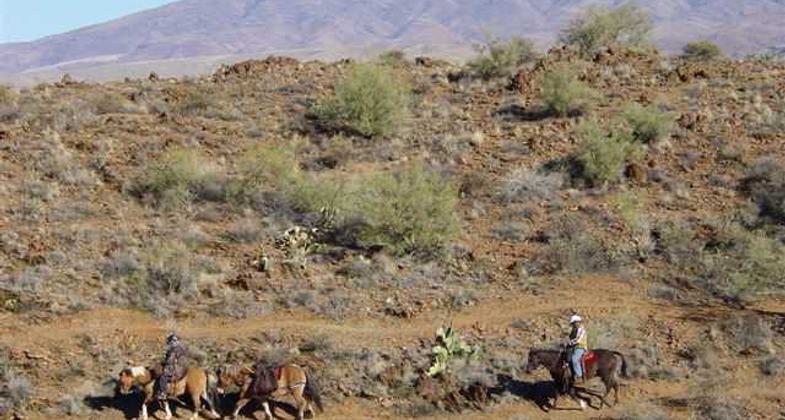 Pack stock and BCTC volunteer riders descend a hill and switchback. Photo by Rich Hanson.