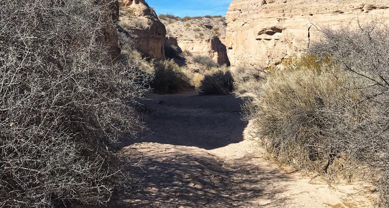 Looking over the Refuge from the ridge. Photo by Pam Riches.