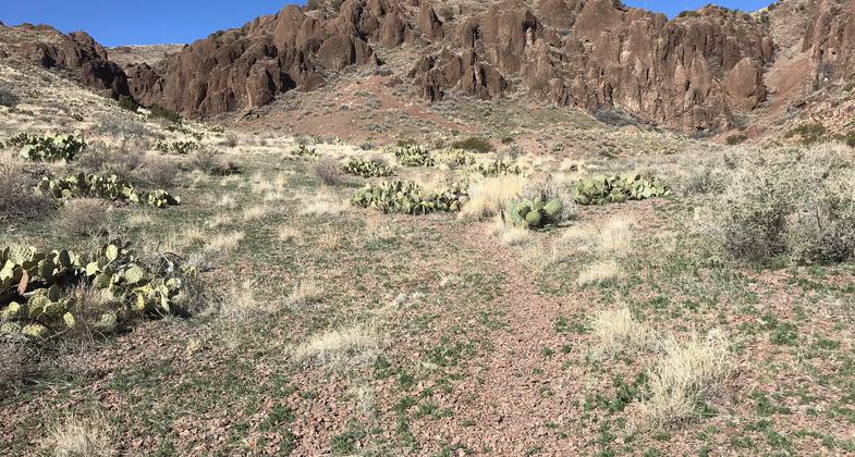 Heading west toward the red canyon. Photo by Pam Riches.