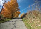 Colorful Autumn Day on the Trail. Photo by Jim Allan.
