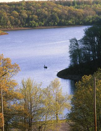 Wappapello Section. Photo by Don Massey.