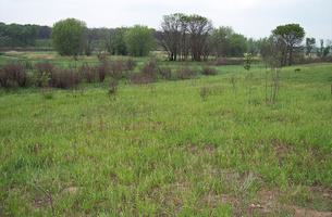 Blue Hill Hiking Trail