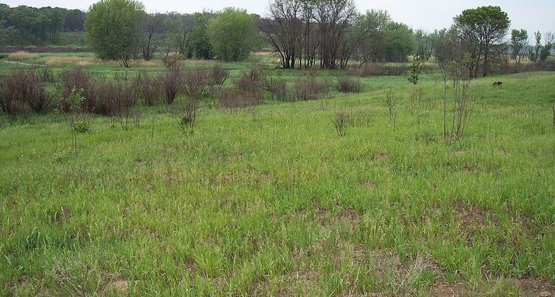 Sherburne National Wildlife Refuge along the St. Francis River. Photo by Tim Kiser.