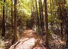 Kohl Park Trail.
