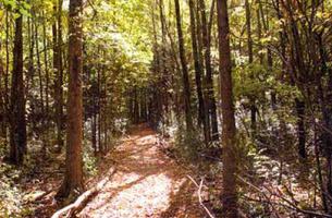 Kohl Park Hiking Trail