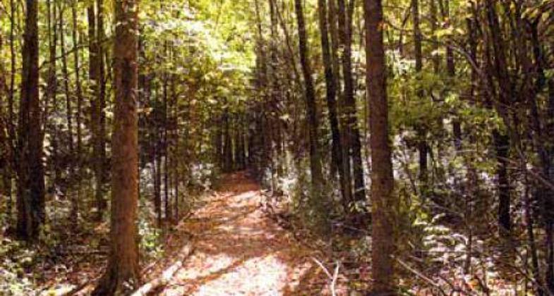 Kohl Park Trail.