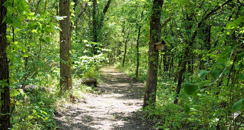 Pioneer Nature Trail - 7-11-2018. Photo by Jim Walla.