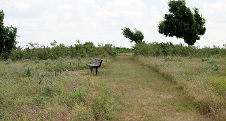 Pioneer Nature Trail - 7-11-2018. Photo by Jim Walla.