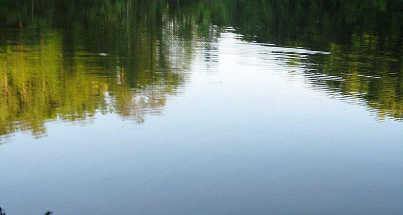 Occoquan River near Fountainhead Regional Park. Photo by Aneta Kaluzna.