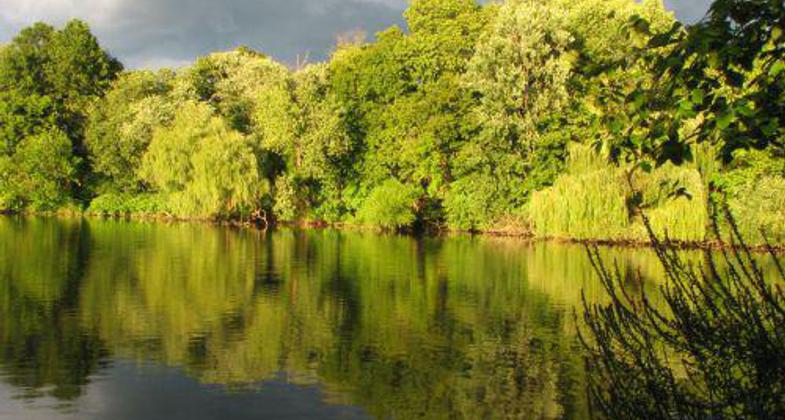 Indian Pond Reflection.