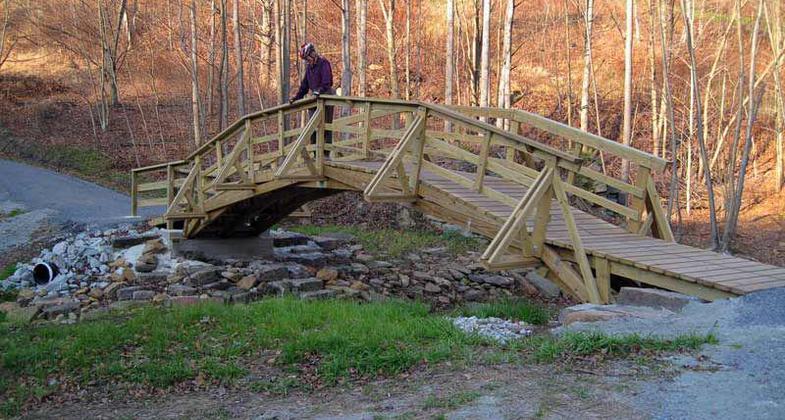 Photograph by Mary Shaw.