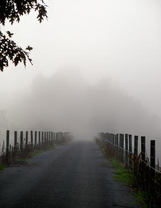 Fog on Bridge 5, Bow Ridge. Photo by Clare Kaczmarek.