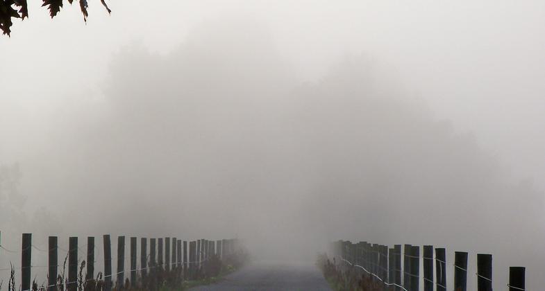 Bridge #3, also at the Bow Ridge Section. Photo by Clare Kaczmarek.