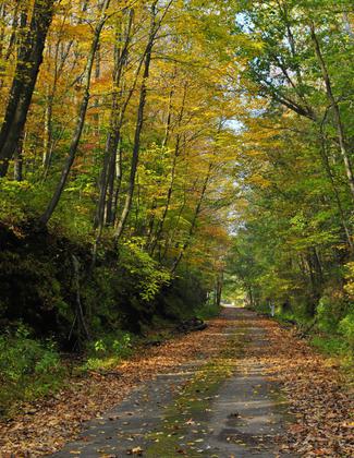 West Penn Trail path. Photo by Clare Kaczmarek.
