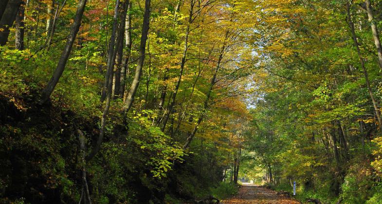 A park in Saltsburg shows where one of the canal locks once was. Photo by Mary Shaw.