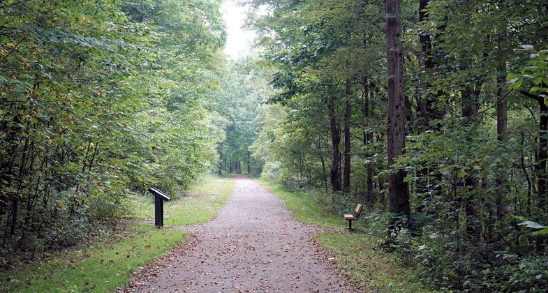 Staple Bend Tunnel Trail - typical section of the trail between the trailhead and the tunnel. Photo by Jim Walla.
