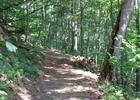 The hiking section of the 6-To-Ten Trail climbs through the wooded Allegheny Front.