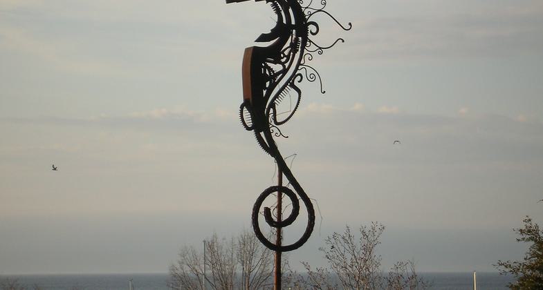 Tulips in bloom. Photo by Sherry Sullivan.