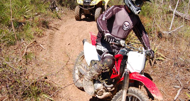 Trail meanders around Wilson Lake and crosses bridge. Photo by John H. Morgan, III.
