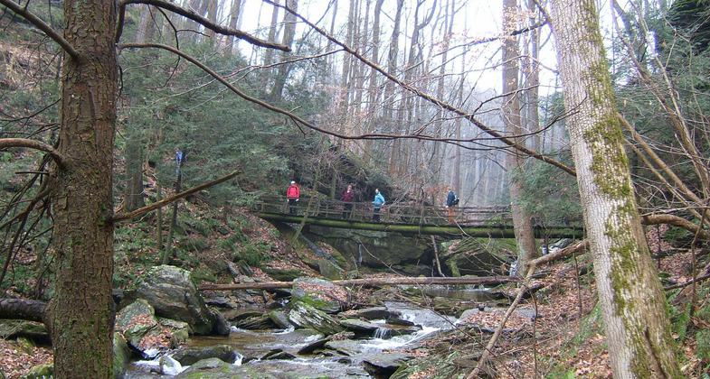 Mason-Dixon Trail