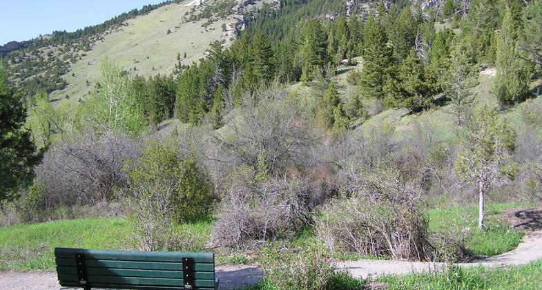 Pasture bench. Photo by Molly Webb.