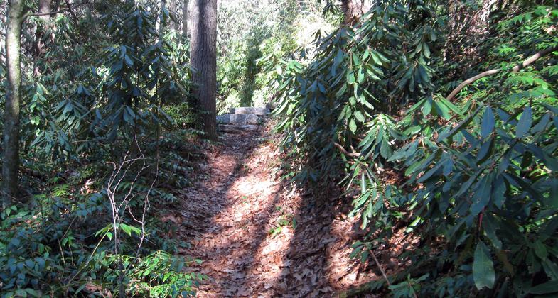 Greenway Loop trail. Photo by Hillrie Quin.