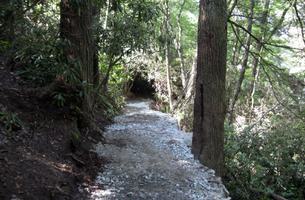 Highlands Plateau Greenway