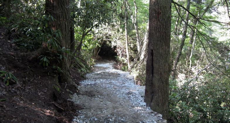 Rhododendren Park Trail. Photo by Hillrie Quin.