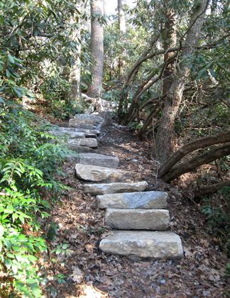 Steps on loop trail. Photo by Hillrie Quin.