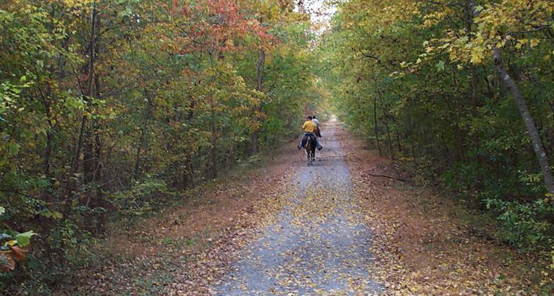 Riders near bridge abutments. Photo by Beth McCreless.