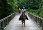 Horseback riders crossing bridge. Photo by Kari Kirby.
