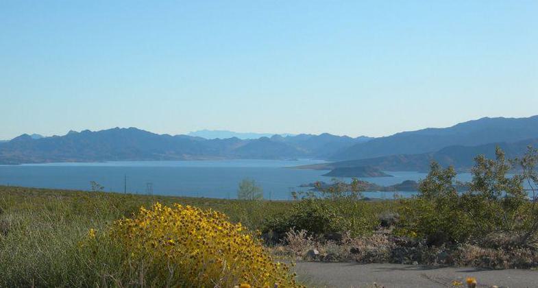 View of Lake Mead in the background.