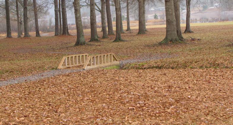 Photo by Delitha Powe.