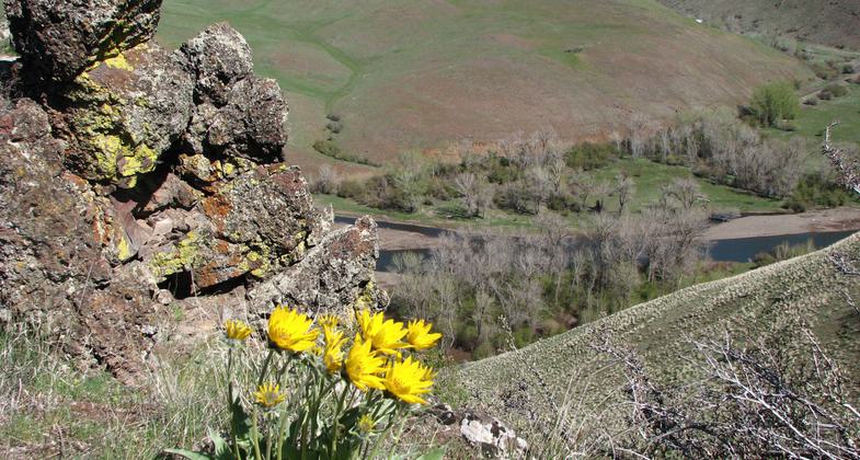 Bacon Valley. Photo by Friends of the Weiser River.