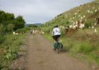 Goat crossing. Photo by Friends of the Weiser River Tr.