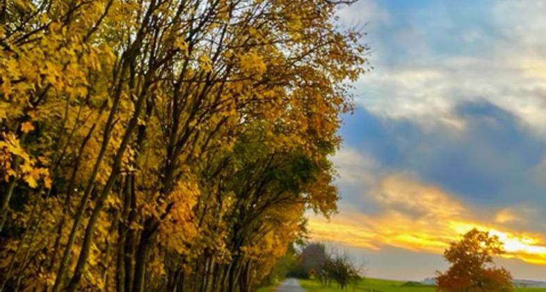 Cumberland Valley Rail Trail.