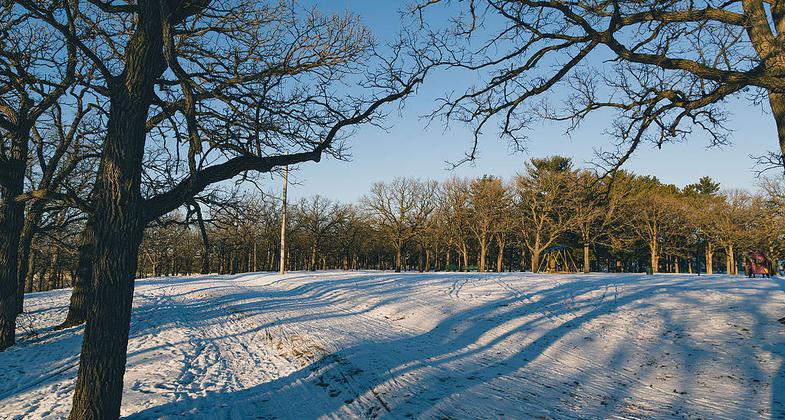 Riverside Park ski trail. Photo by Tony Webster/wiki.