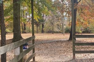 Vernon Bush Garden Trail