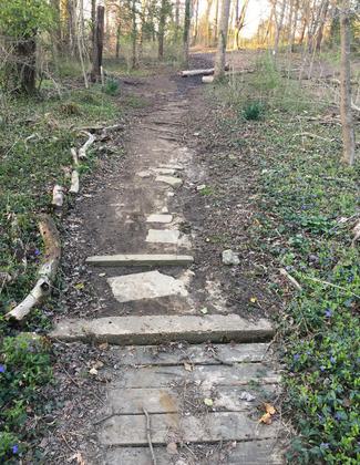Before trail improvements. Photo by Lewis Gorman III.