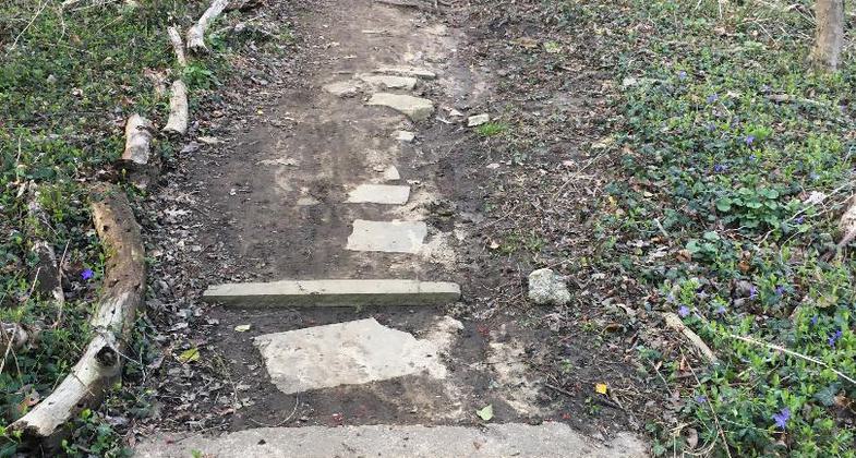 Photo by Lewis Gorman III.