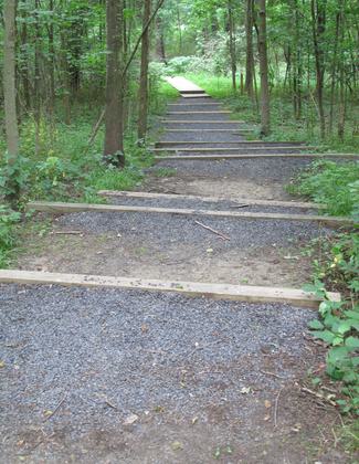 Erosion prevention. Photo by Lewis Gorman III.