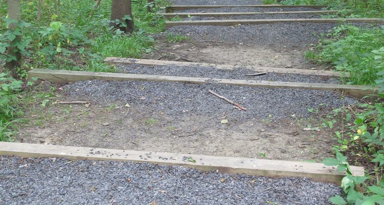 Before trail improvements. Photo by Lewis Gorman III.